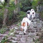 平成18年10月12日・英彦山入峰修行―その2